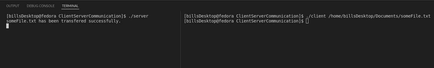 2 terminals running client server program